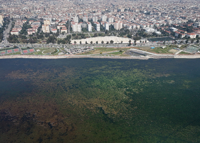 İzmir Körfezi yosuna teslim oldu - Resim : 2