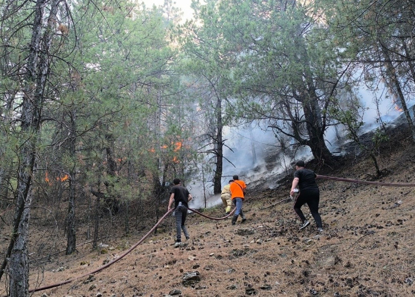 Denizli'de başladı, Aydın'a sıçradı: Üç gündür yanıyor - Resim: 12