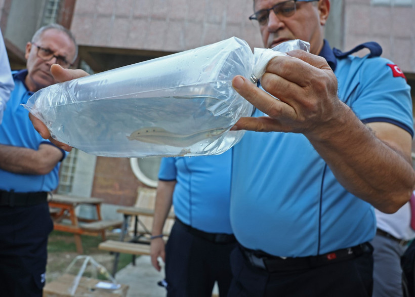 Bir otobüsten neler çıktı neler! Tayland’dan balık, Tokat’tan horoz, İstanbul’dan kalkan - Resim : 2