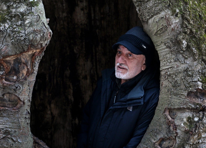 Bu ağaçlar fotoğraf tutkunlarını çağırıyor - Resim: 13