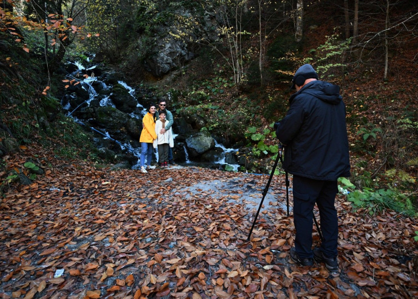 Bu ağaçlar fotoğraf tutkunlarını çağırıyor - Resim: 16