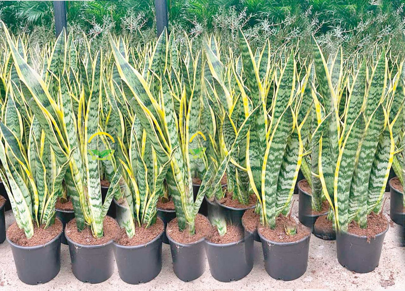 ‘Sen çık Fahrettin…’ - Resim : 1