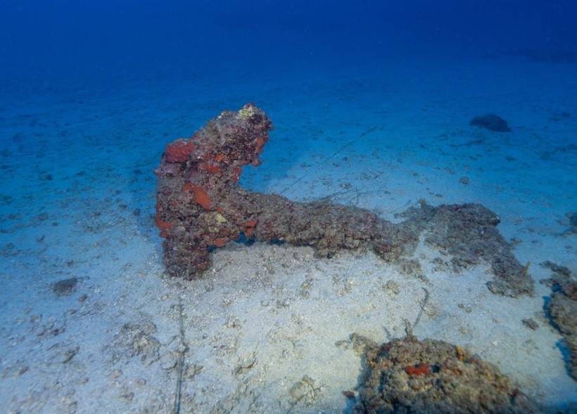 Hatay'da denize daldılar, büyülendiler - Resim: 2