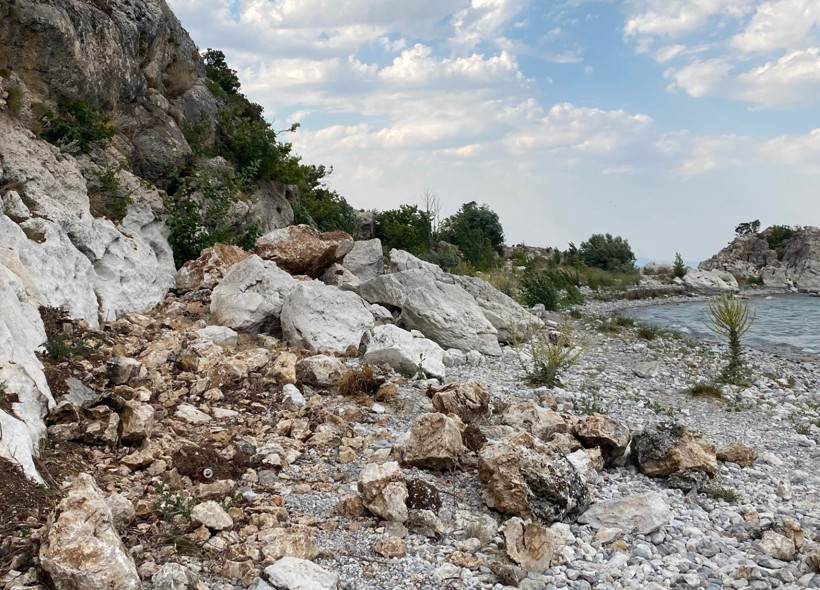 Eğirdir Gölü’nde ekolojik yıkım: Sazlıkların kesilmesine tepki - Resim : 4