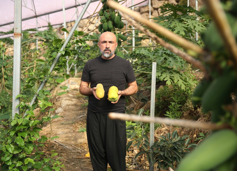 Mango ve avokado gibi değil: Alanya'da üretiyor, taleplere yetişemiyor - Resim: 5