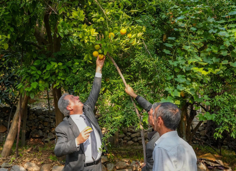 İklim değişti mahsul şaşırttı: Diyarbakır'da mikroklima mucizesi - Resim: 7
