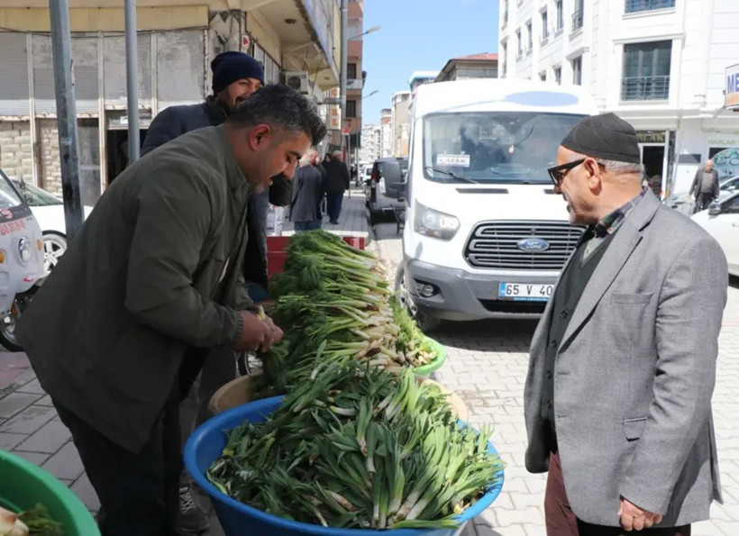 Dağda doğal olarak yetişiyor, toplayıp 500 liraya satıyorlar - Resim : 1
