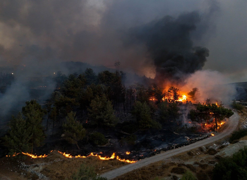 Cebimiz de yanıyor: Sadece bir hektarın maliyeti 600 bin lira - Resim: 14