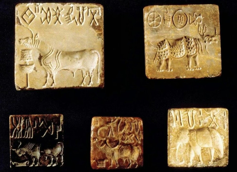 Dünyanın en eski topluluğunun sırrını çözene 1 milyon dolar ödül verilecek - Resim : 1