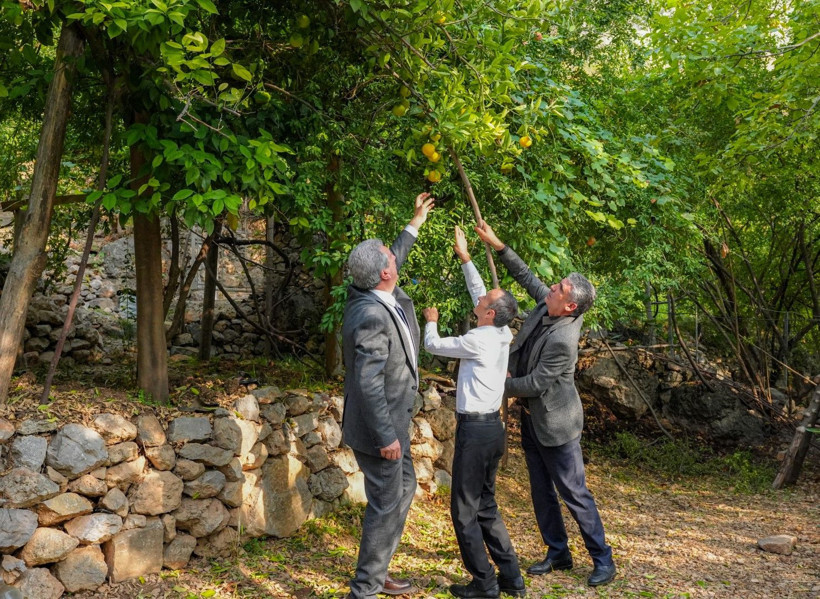 İklim değişti mahsul şaşırttı: Diyarbakır'da mikroklima mucizesi - Resim: 6