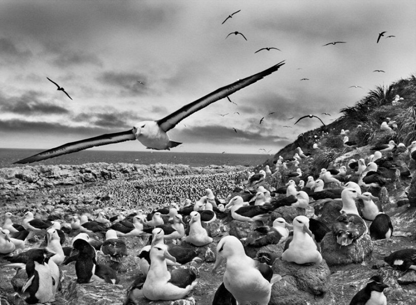 Dünyaca ünlü fotoğrafçı yaşamını yitirdi - Resim : 4