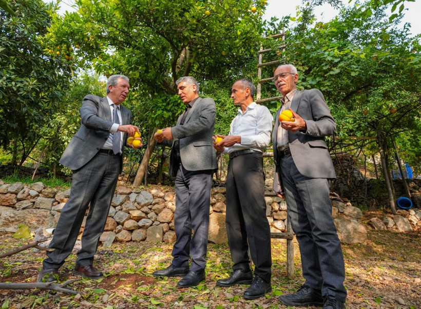 İklim değişti mahsul şaşırttı: Diyarbakır'da mikroklima mucizesi - Resim: 10