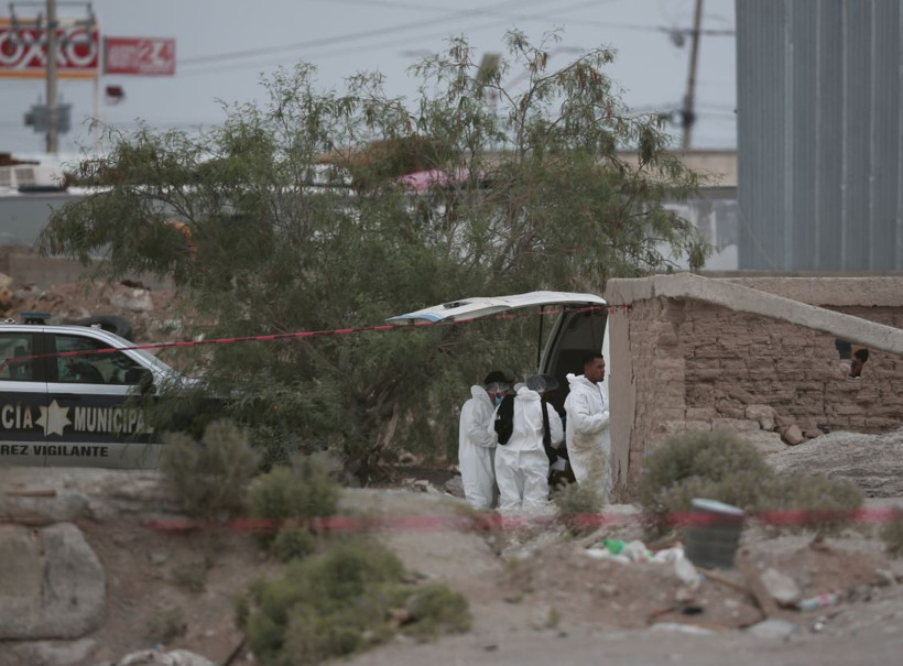 Kötü kokuya dayanamayıp polisi aradılar: Mumyalanmış 60 ceset çıktı - Resim : 1