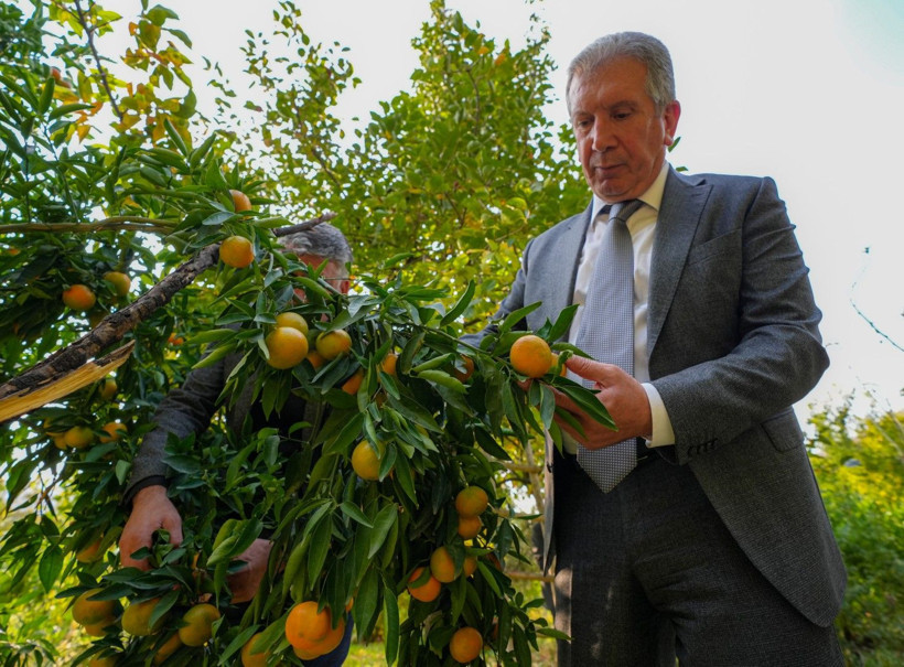 İklim değişti mahsul şaşırttı: Diyarbakır'da mikroklima mucizesi - Resim: 16