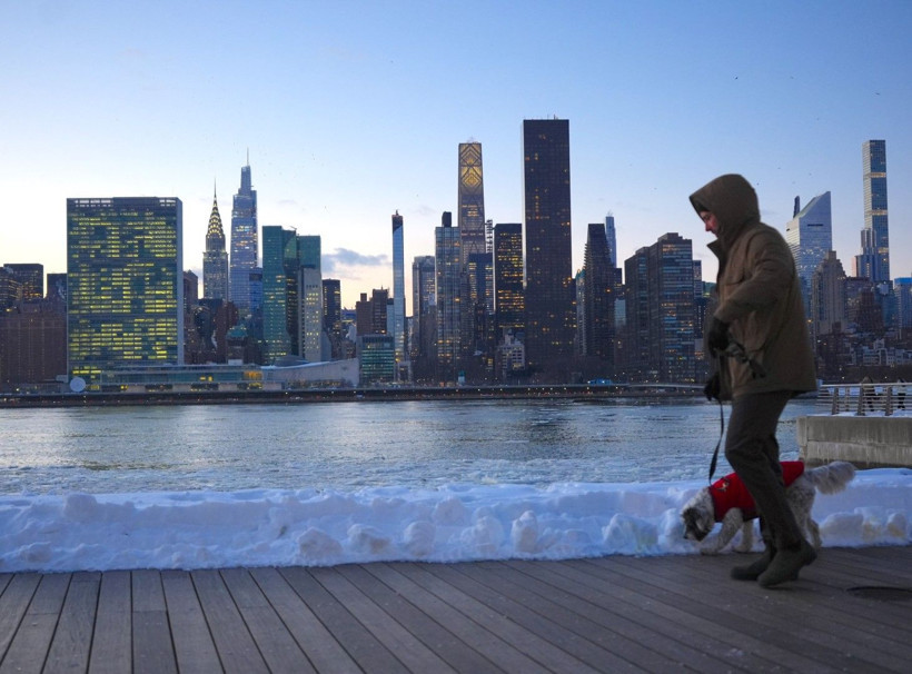 New York'ta buzul çağı - Resim: 42