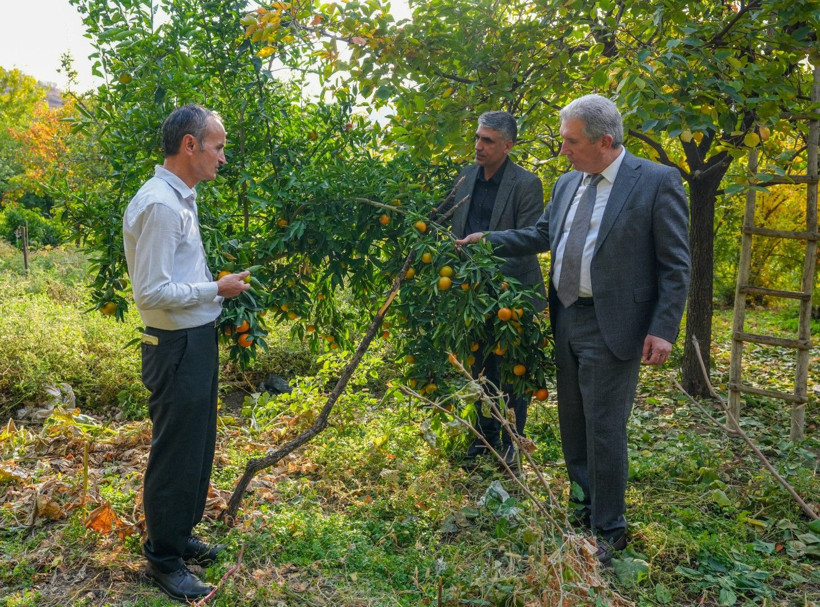 İklim değişti mahsul şaşırttı: Diyarbakır'da mikroklima mucizesi - Resim: 18