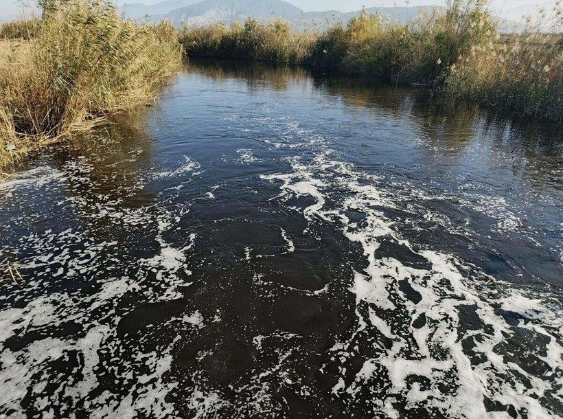 Büyük Menderes'ten can yakan kareler - Resim : 4