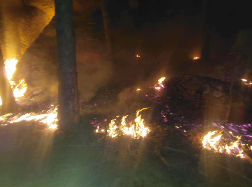 Muğla'da orman yangını - Resim : 1