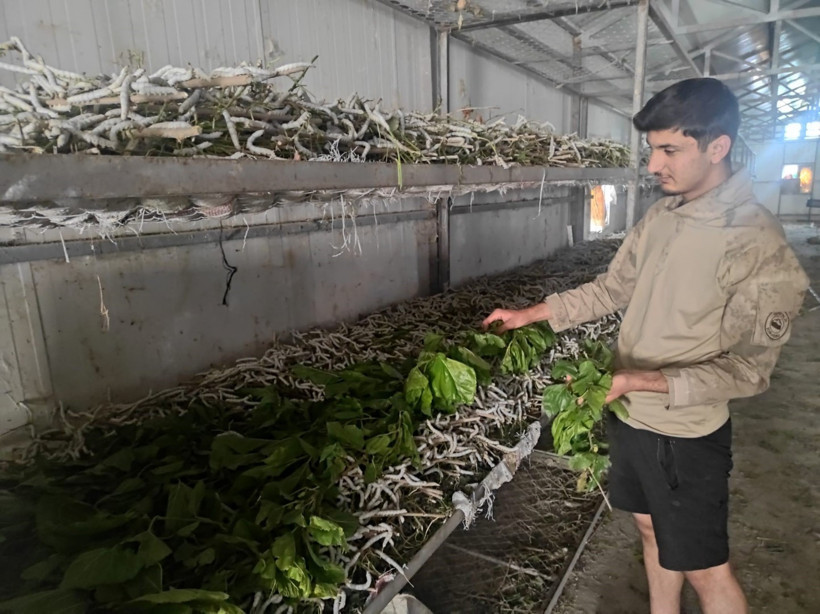 Bir ayda 150 bin lira gelir: 150 aileye geçim kapısı oldu - Resim : 1