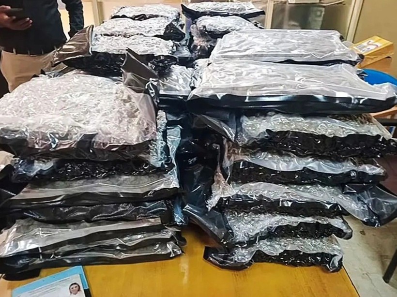 Genç hostes 128 milyon liralık uyuşturucuyla yakalandı: Dikkat çeken 'insan kalıntısı' detayı - Resim: 6