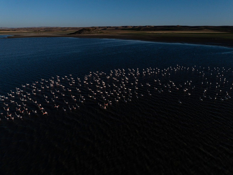 Yozgat'ın zarif misafirleri - Resim: 9