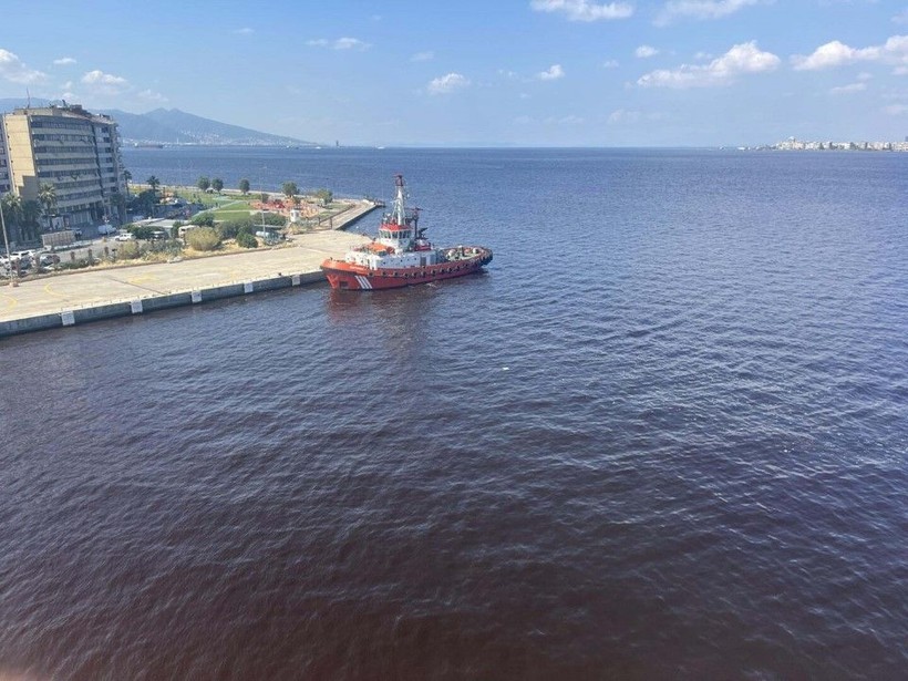 İzmir Körfezi'ndeki kirlilik ve balık ölümlerine soruşturma - Resim: 5