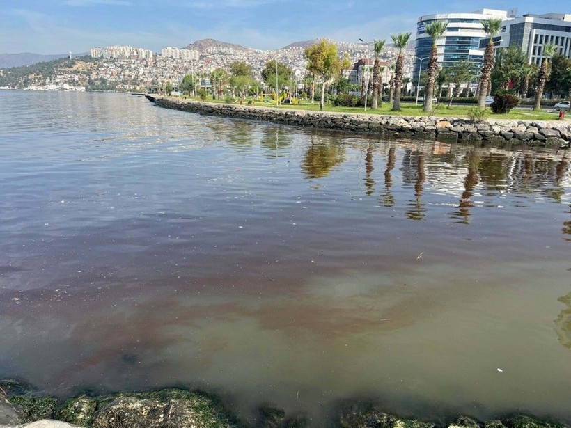 İzmir Körfezi'ndeki kirlilik ve balık ölümlerine soruşturma - Resim: 8