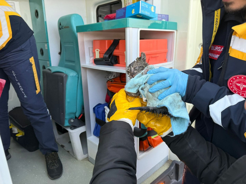 Bursa'da fabrika yangını: Dumanlar şehri sardı - Resim : 3