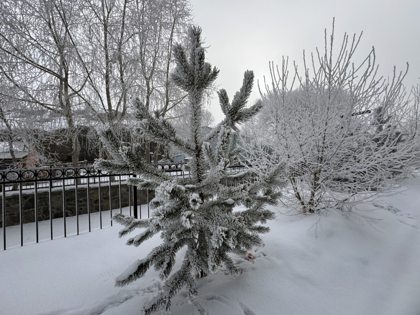Ardahan buz kesti: Göle’de termometreler -28,4’ü gördü - Resim : 7