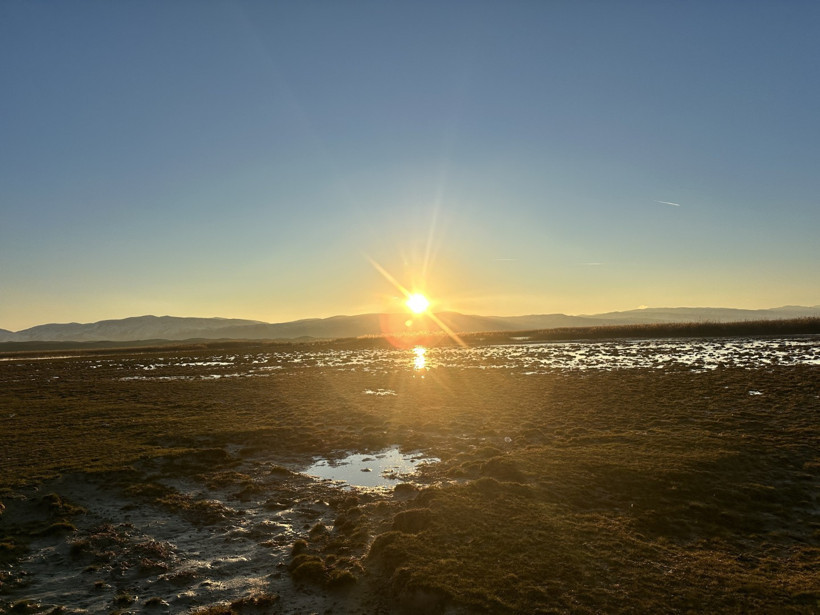 Doğa yürüyüşçüleri tesadüfen şahit oldu: Aniden yerin altından toprak fışkırdı - Resim : 2