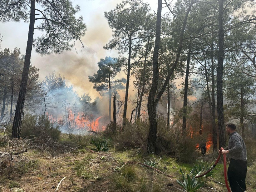 Antalya'da orman yangını - Resim : 1