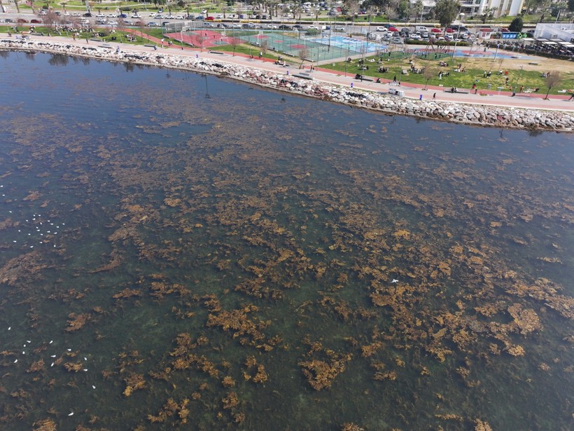 İzmir Körfezi alarm veriyor - Resim : 3