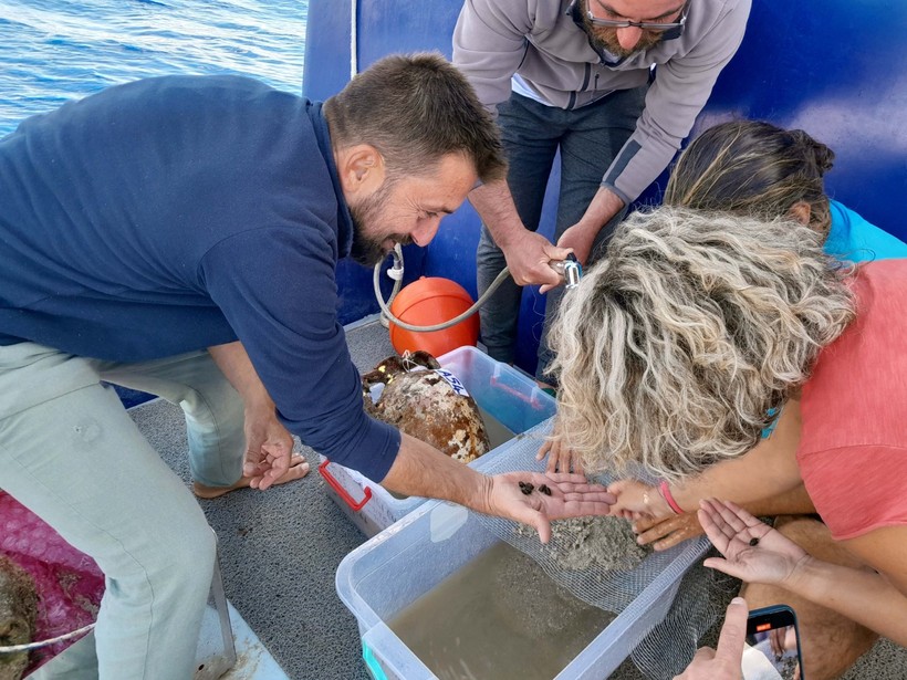 Antalya açıklarındaki batıktan 1100 yıllık zeytin çekirdekleri çıktı - Resim : 3