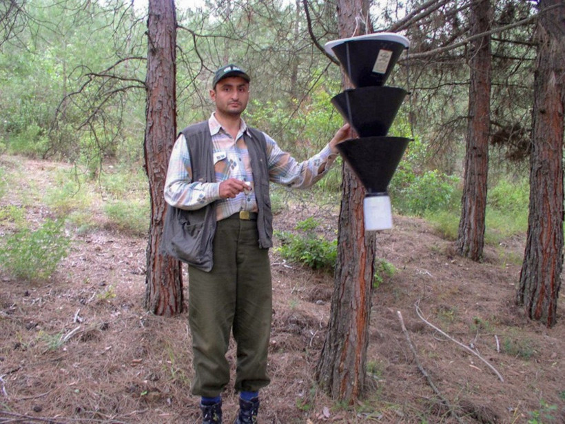 Keşfettiği böceğe eşinin adını verdi - Resim : 2