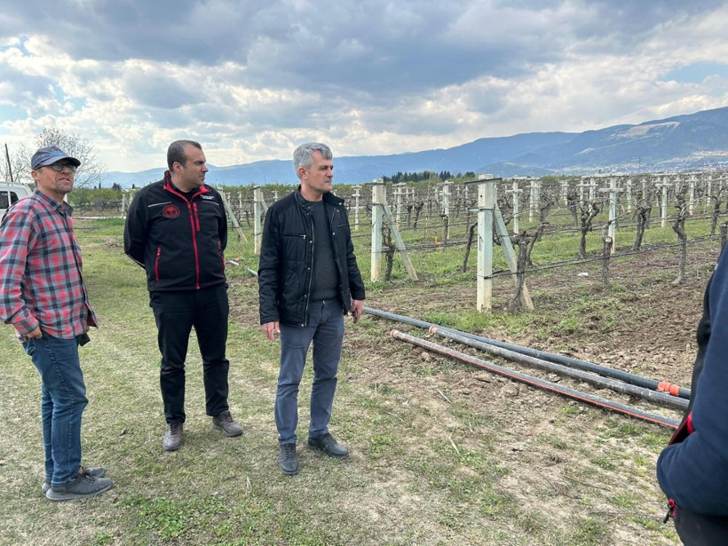 Soğuklar meyve bahçelerini vurdu - Resim : 1