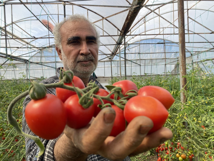 Üretici sordu: Tarlada 15-markette 70 TL, farkı kim yiyor? - Resim : 1