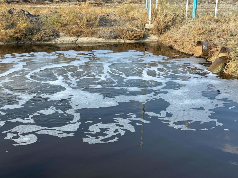 Gediz Nehri can çekişiyor: 'Ağlayasım geliyor', 'Suya dokunmaya korkar olduk' - Resim : 1