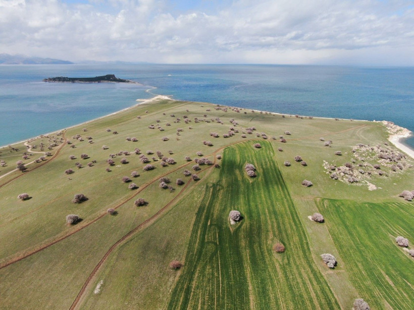 Bu adayı çok az kişi biliyor: İnsandan çok martı var - Resim: 6