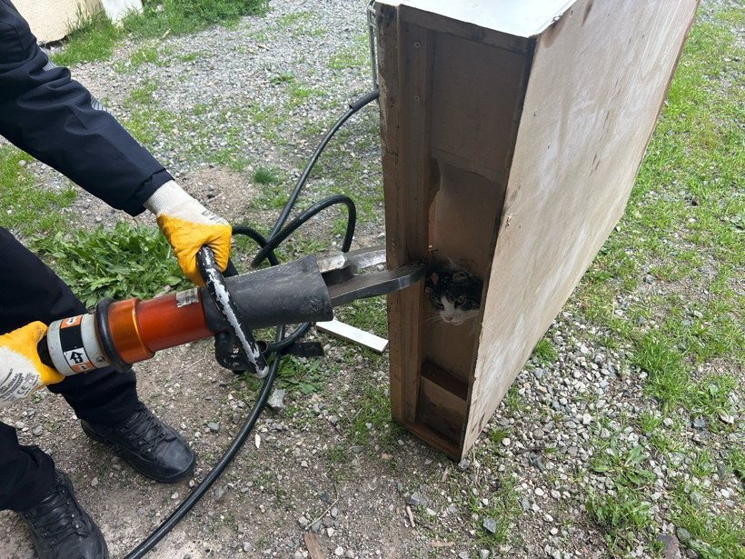 Dolaba sıkışan kediyi itfaiye kurtardı - Resim : 2