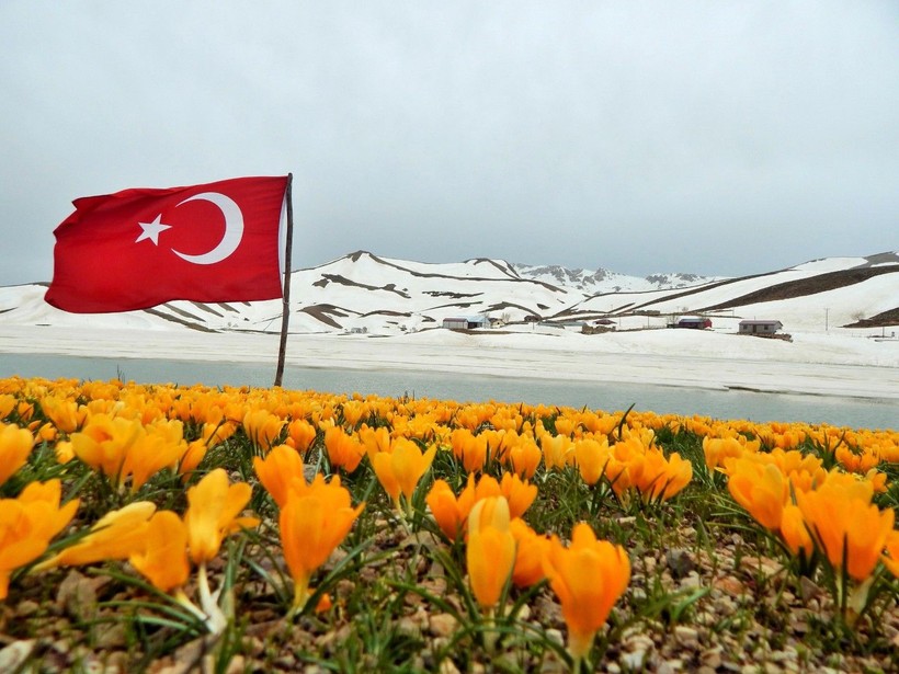 İnsanlar elleriyle mahvetti: Yaylada bu sene ilk kez çiçek açmadı - Resim: 8