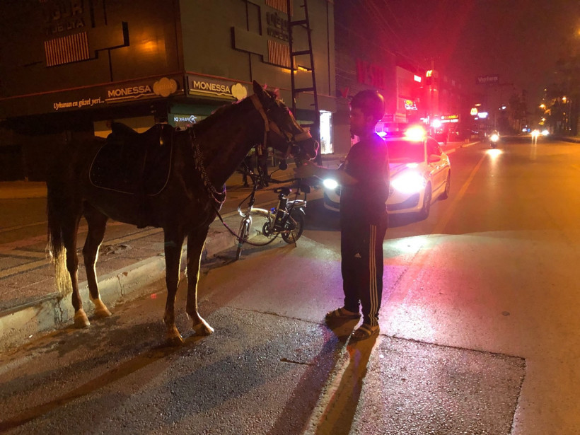 Atla giderken 'alkollü araç kullanmak'tan ceza yedi - Resim : 1