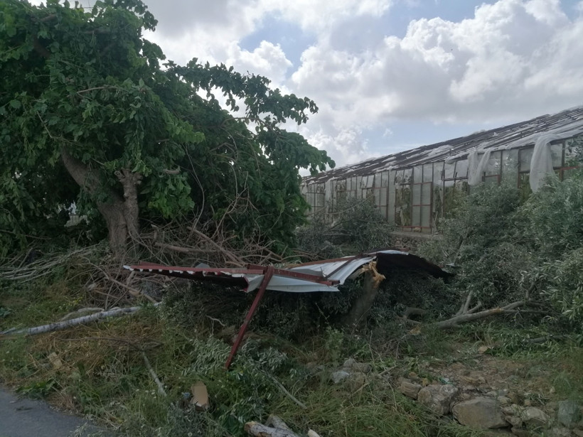 Antalya'da tarım alanlarını dolu ve hortum vurdu - Resim : 1