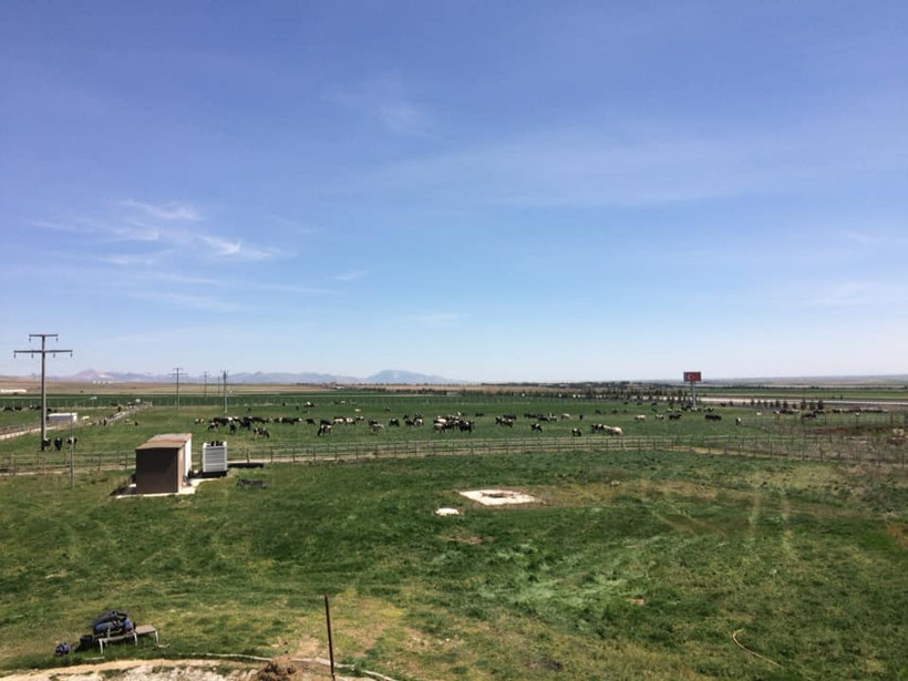 FETÖ firarisi Akın İpek’in çiftliği satılıyor - Resim : 1