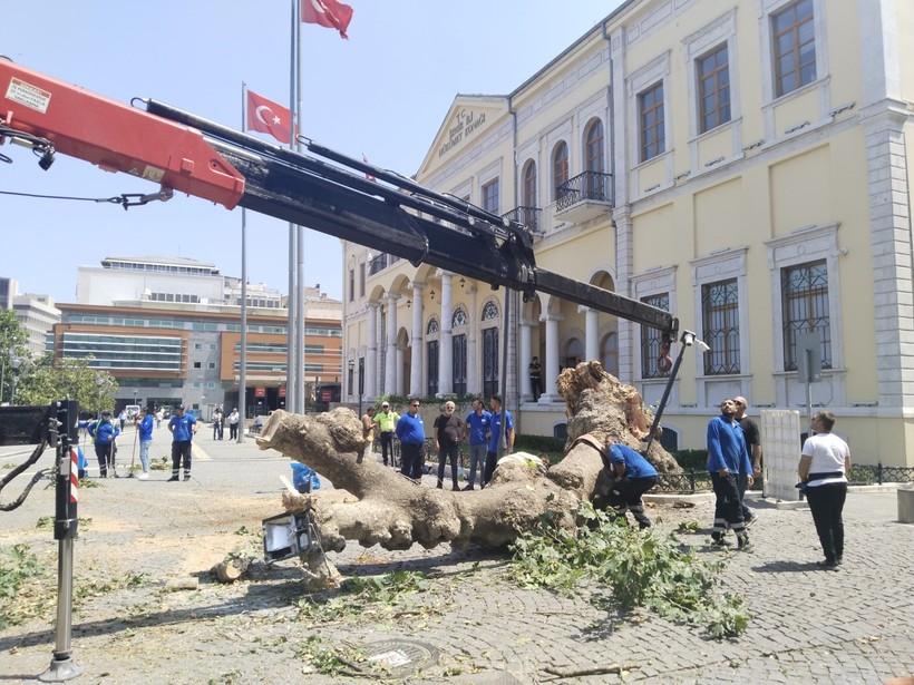 İzmir Valiliği önünde korkutan anlar: Asırlık çınar devrildi - Resim : 2