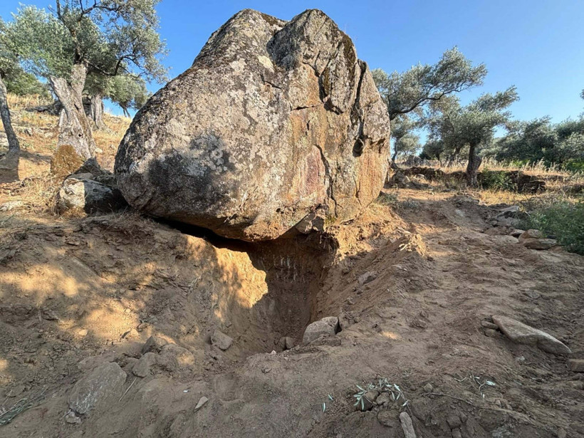 Define avcılarına suçüstü: 8 gözaltı - Resim : 1