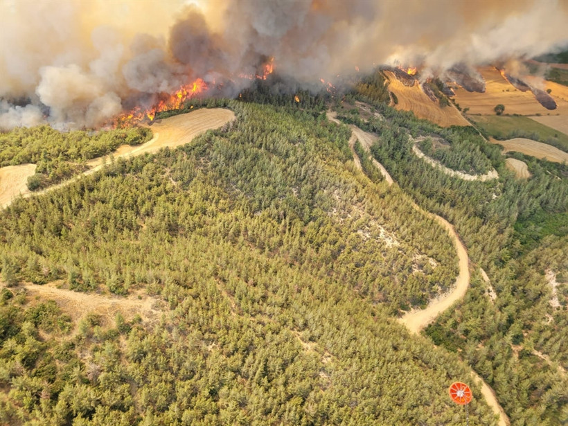 Uçağın düştüğü yangında 5 tutuklama - Resim : 1