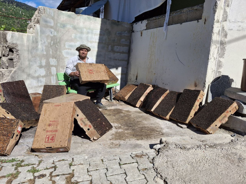 Adana usulü sinekle mücadele: 15 dakikada 4 karton doldu - Resim : 1