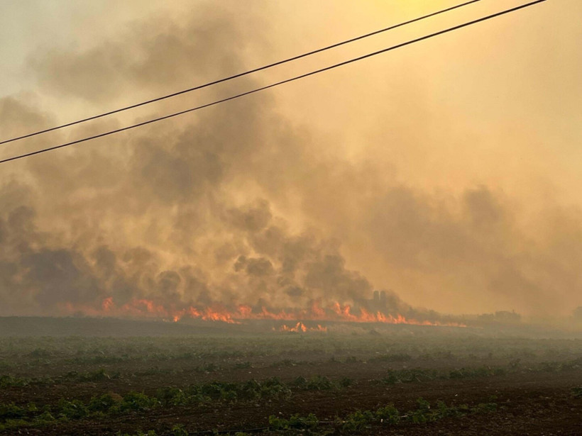 Manisa’da çıkan yangın İzmir’e sıçradı: 250 hektar alan zarar gördü - Resim : 1