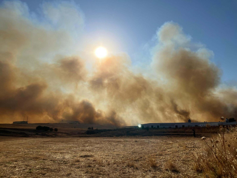 Manisa’da çıkan yangın İzmir’e sıçradı: 250 hektar alan zarar gördü - Resim : 3
