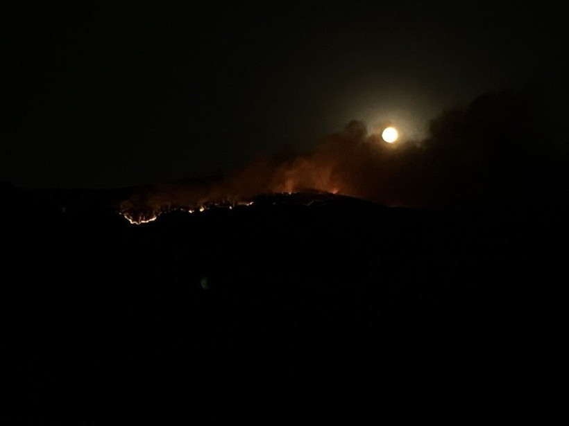 Çankırı'da orman yangını - Resim: 2